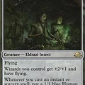 Docent of Perfection - PLAYSET (x4)