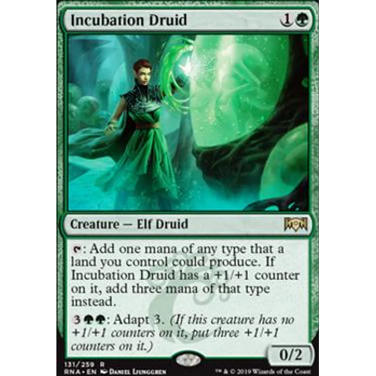 Incubation Druid - Ravnica Allegiance (inglés)