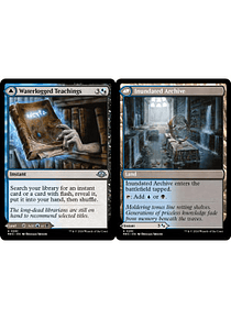 Waterlogged Teachings - Modern Horizons 3 (inglés)
