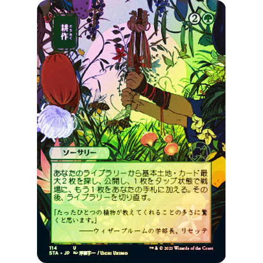 Cultivate (114 - JPN Alternate Art) - Strixhaven Mystical Archive JPN Foil (japonés)