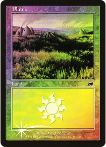 Plains (333 C) - Onslaught Foil (español)