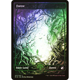 Forest (277) - Innistrad: Midnight Hunt Foil (inglés)