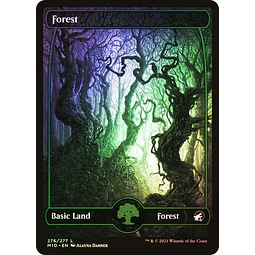Forest (276) - Innistrad: Midnight Hunt Foil (inglés)