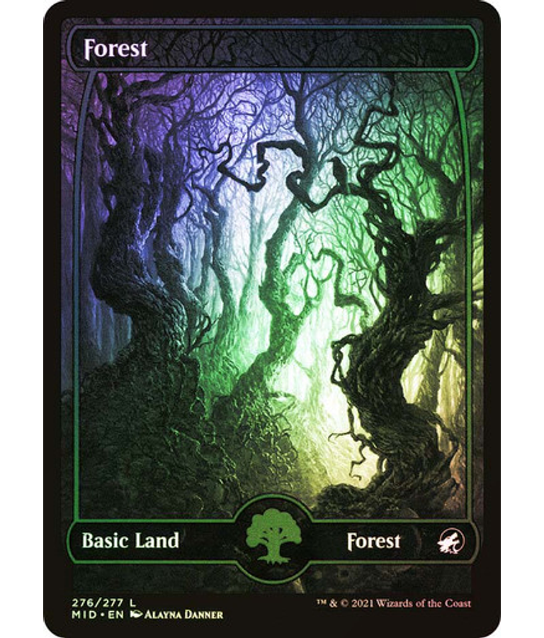 Forest (276) - Innistrad: Midnight Hunt Foil (inglés)