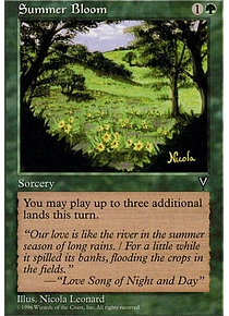 Summer Bloom - Visions (inglés)