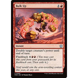 Bulk Up - Foundations (inglés)