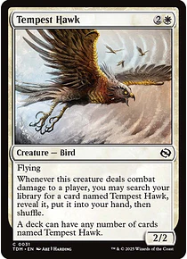 Tempest Hawk - Tarkir: Dragonstorm (inglés)