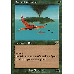 Birds of Paradise - 6th Edition (español)