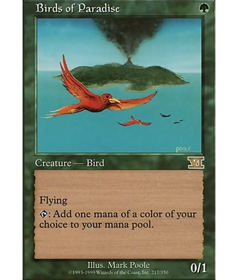 Birds of Paradise - 6th Edition (español)