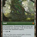 Turntimber Symbiosis - Zendikar Rising (inglés)