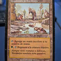 Yavimaya Hollow - Urza's Destiny (español)