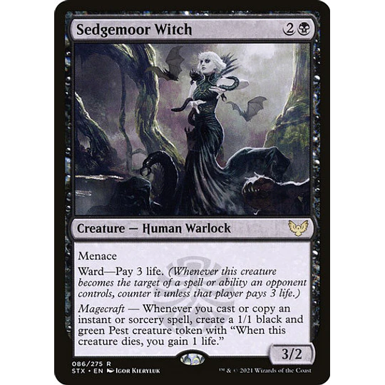 Sedgemoor Witch - Strixhaven: School of Mages (inglés)
