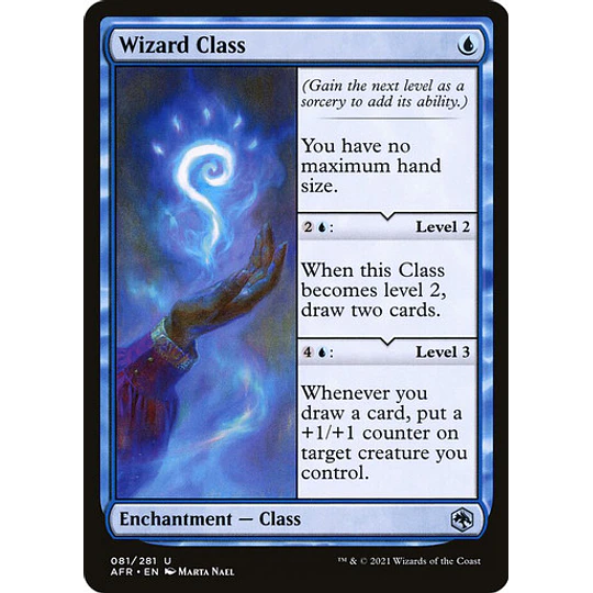 Wizard Class - Adventures in the Forgotten Realms (inglés)