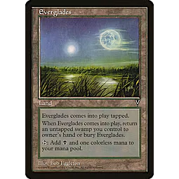 Everglades - Visions (español)