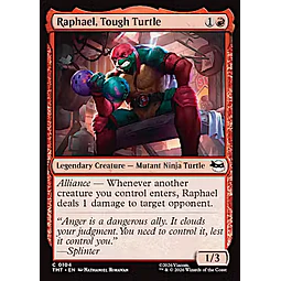 Raphael, Tough Turtle - PLAYSET (x4)