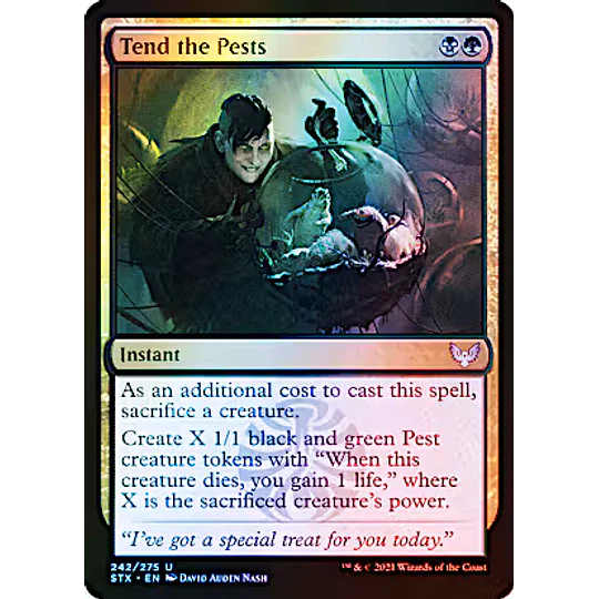 Tend the Pests - Strixhaven: School of Mages Foil (inglés)