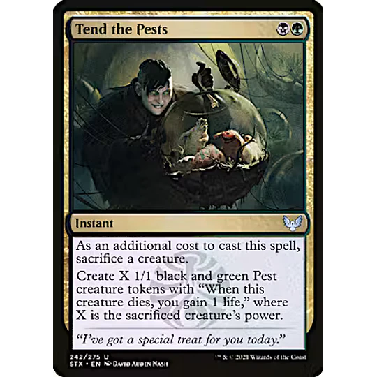 Tend the Pests - Strixhaven: School of Mages (inglés)