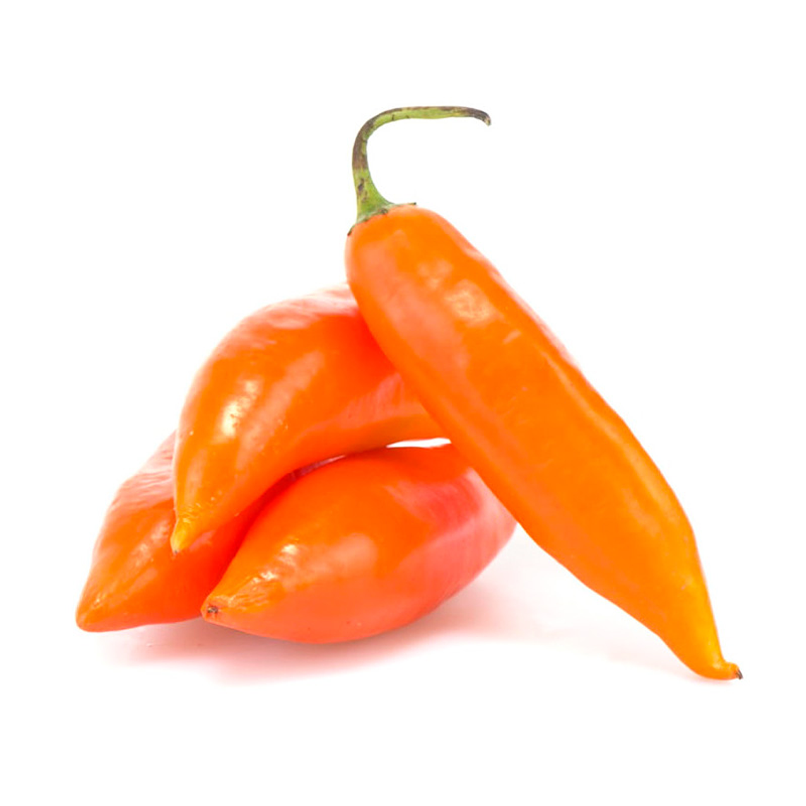 AJI AMARILLO 1