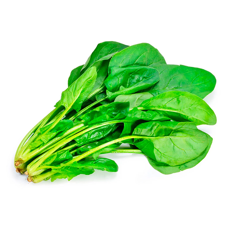 ESPINACA 1