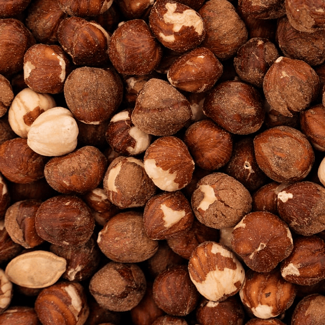 Avellana Europea Sin Sal