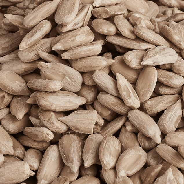 Semilla de maravilla