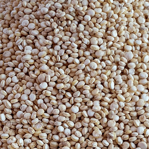 Quinoa blanca