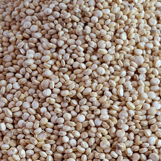 Quinoa blanca