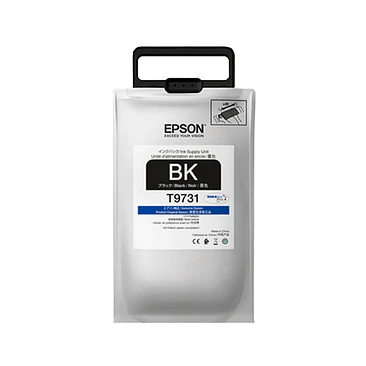 Cartucho de tinta Epson T973120 1
