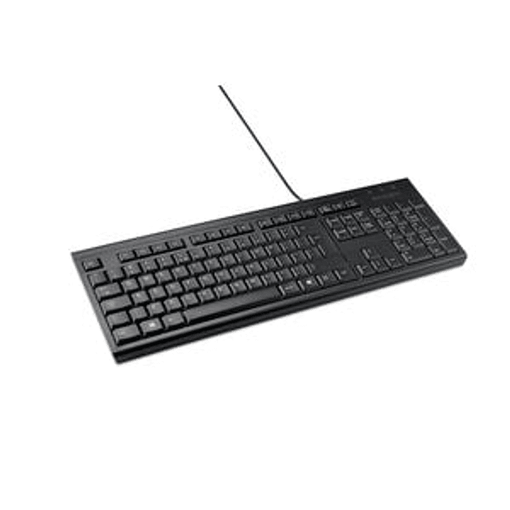 Teclado alambrico KB100 EQ 1