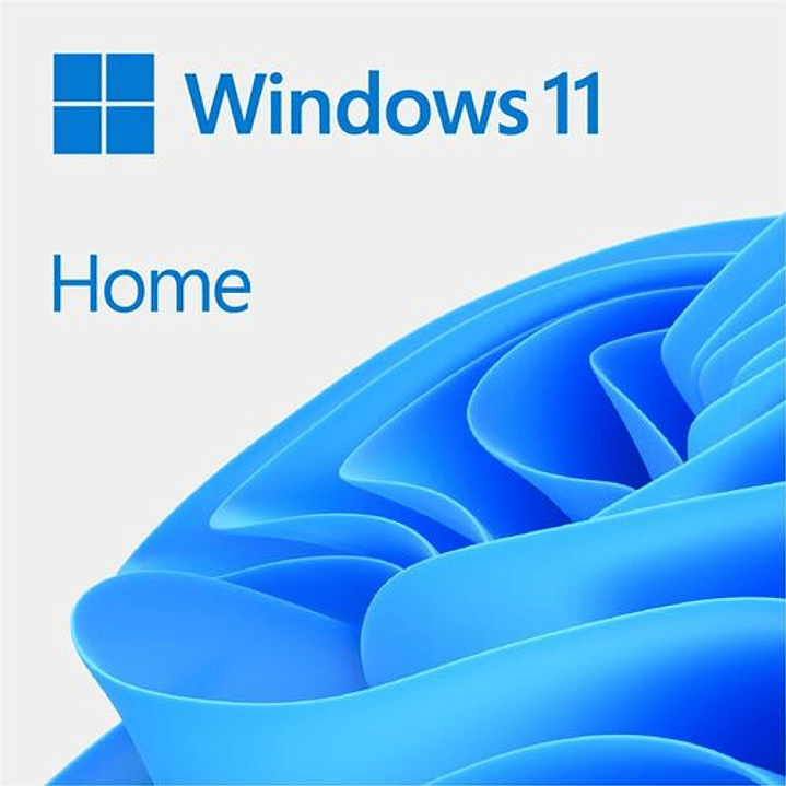 Microsoft WIN HOME 11 64-bit All Lng Online DwnLd 1