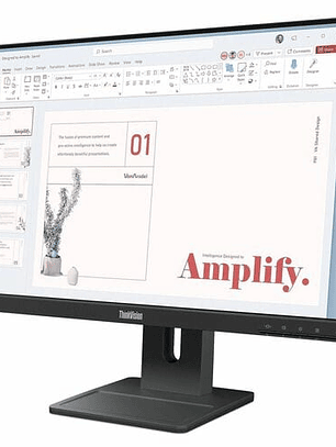 Monitor LED Lenovo ThinkVision E24-40 24