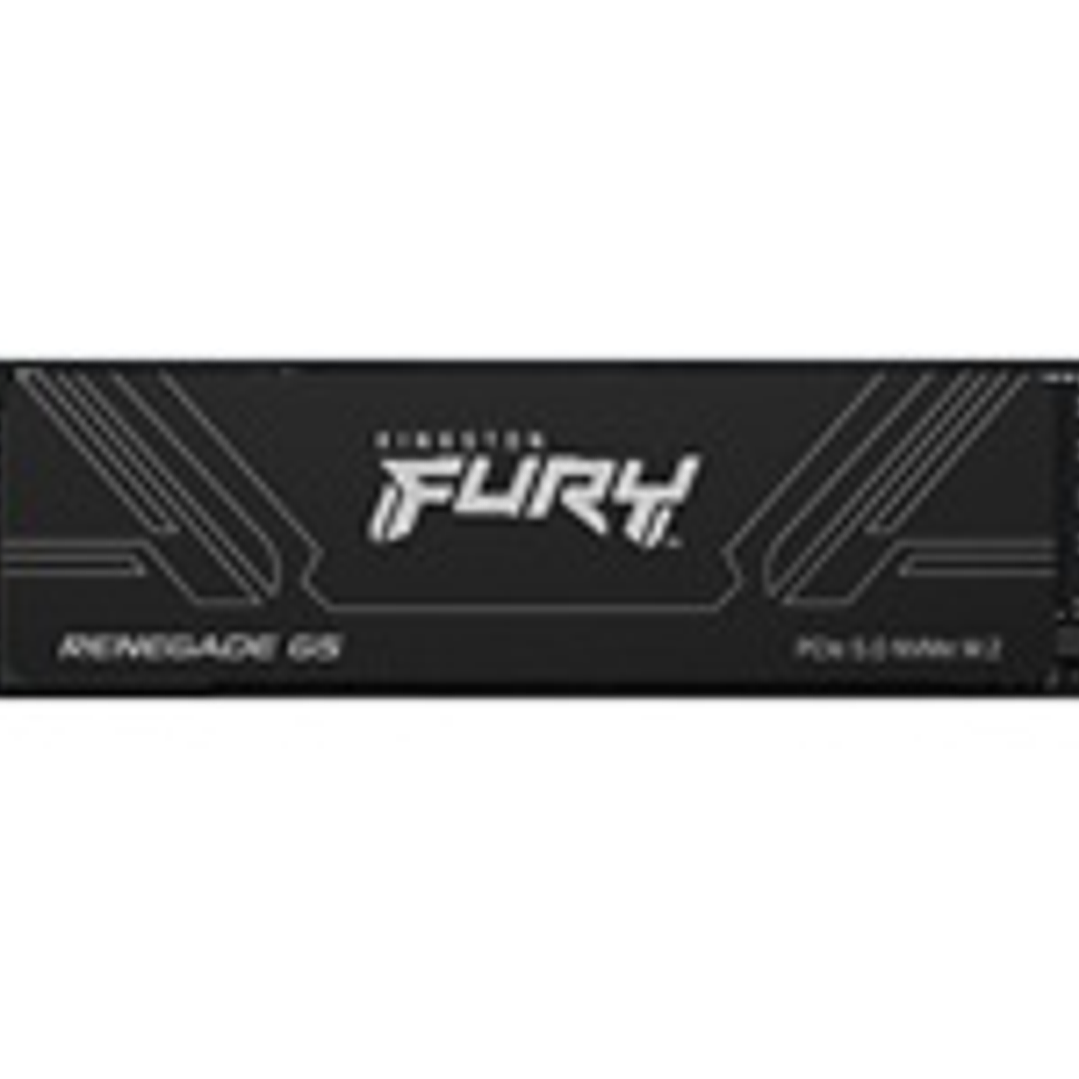 Kingston Internal Solid State Drives - KNG SSD 1024GB Renega 1