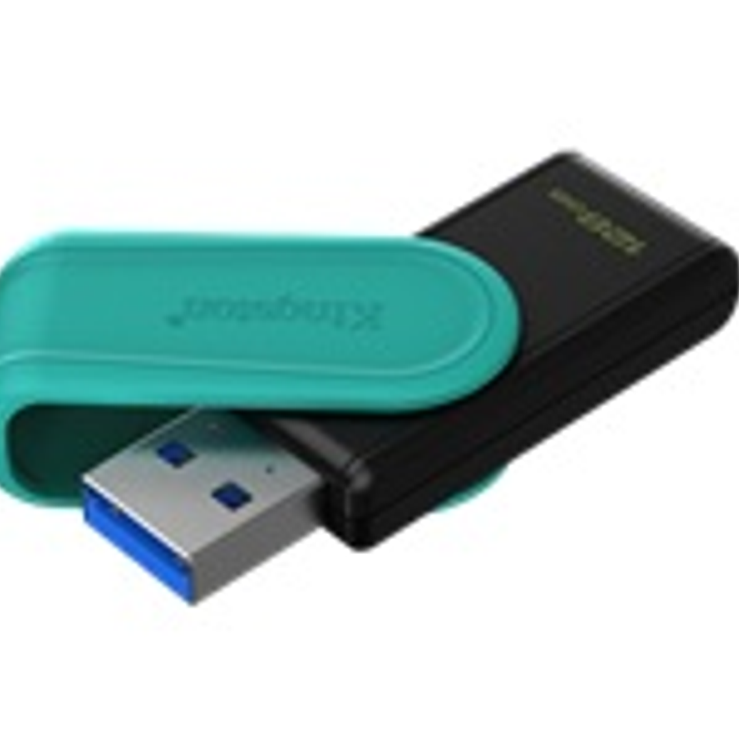 Kingston USB Flash Drives - KNG 128GB USB 3.2 DataTraveler E 1