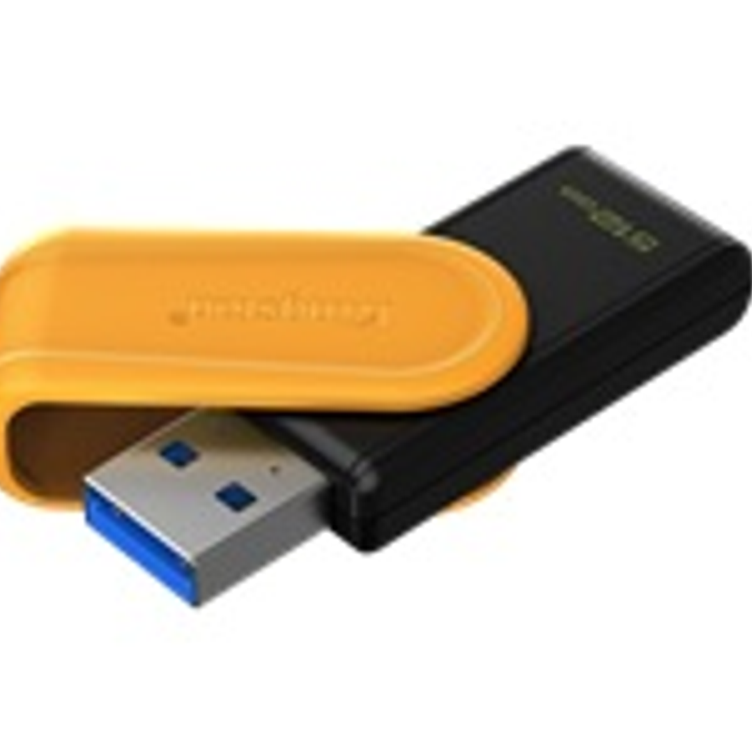 Kingston USB Flash Drives - KNG 512GB USB 3.2 DataTraveler E 1