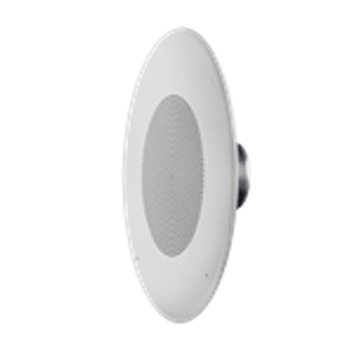 JBL Pro CSS8018 Parlante de Cielo 8