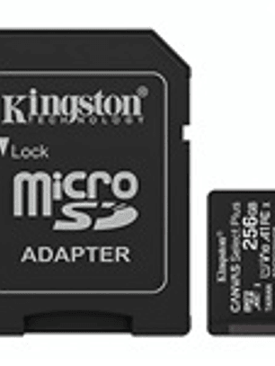 Tarjeta de Memoria Kingston SDCS3/256GB 256GB