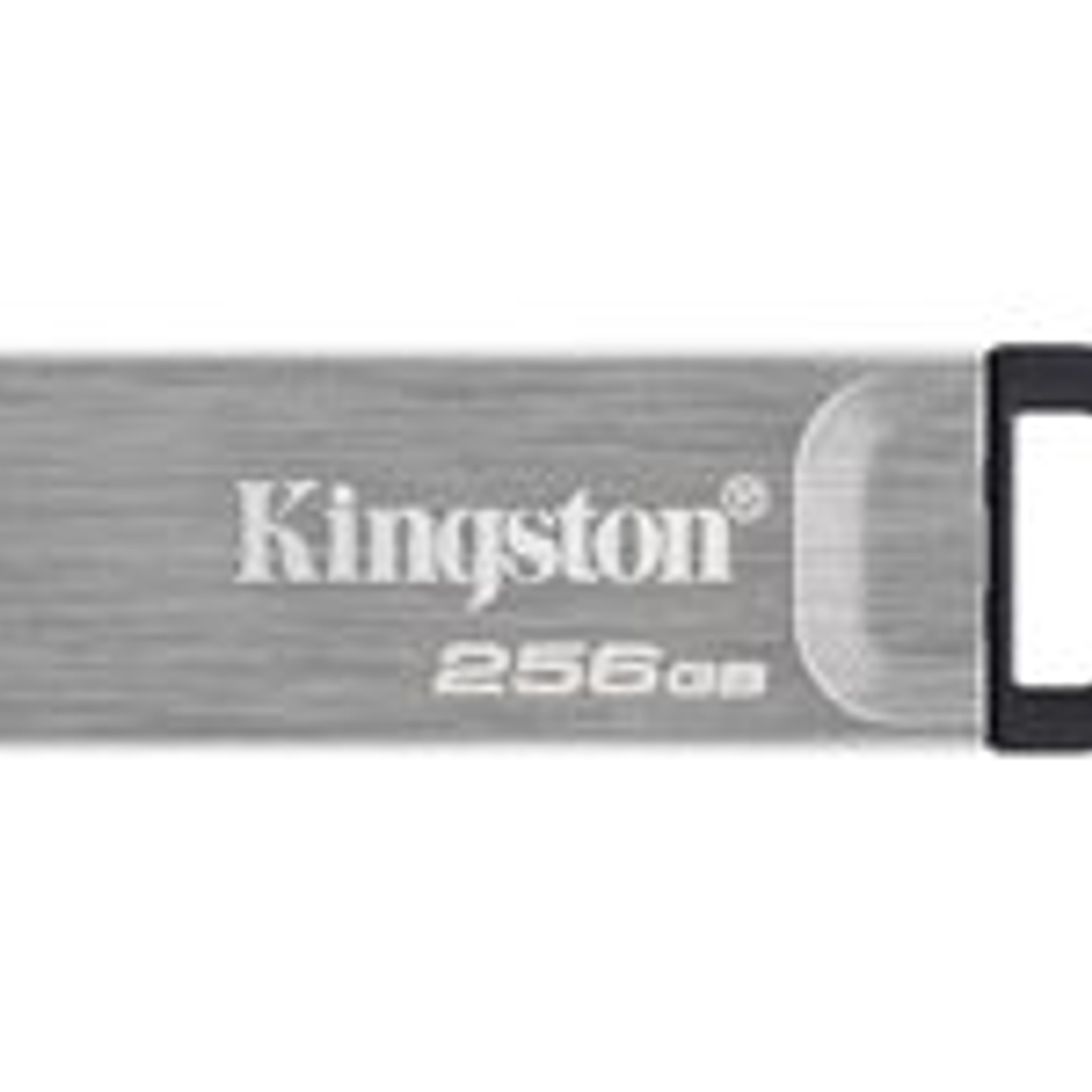 Kingston USB Flash Drives - KNG 256GB USB 3.0 Datatraveler K 1