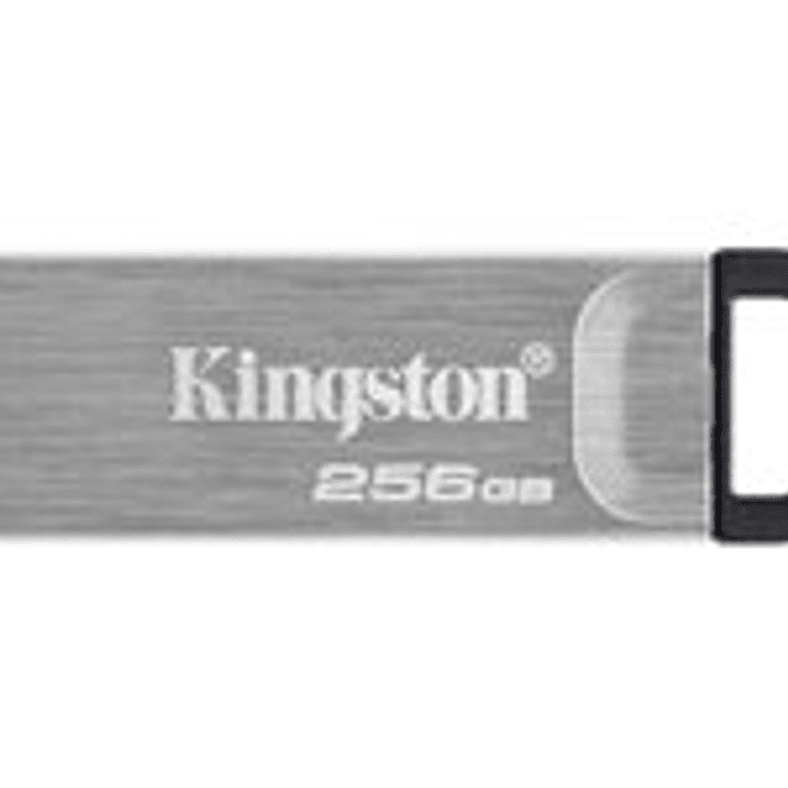 Kingston USB Flash Drives - KNG 256GB USB 3.0 Datatraveler K 1