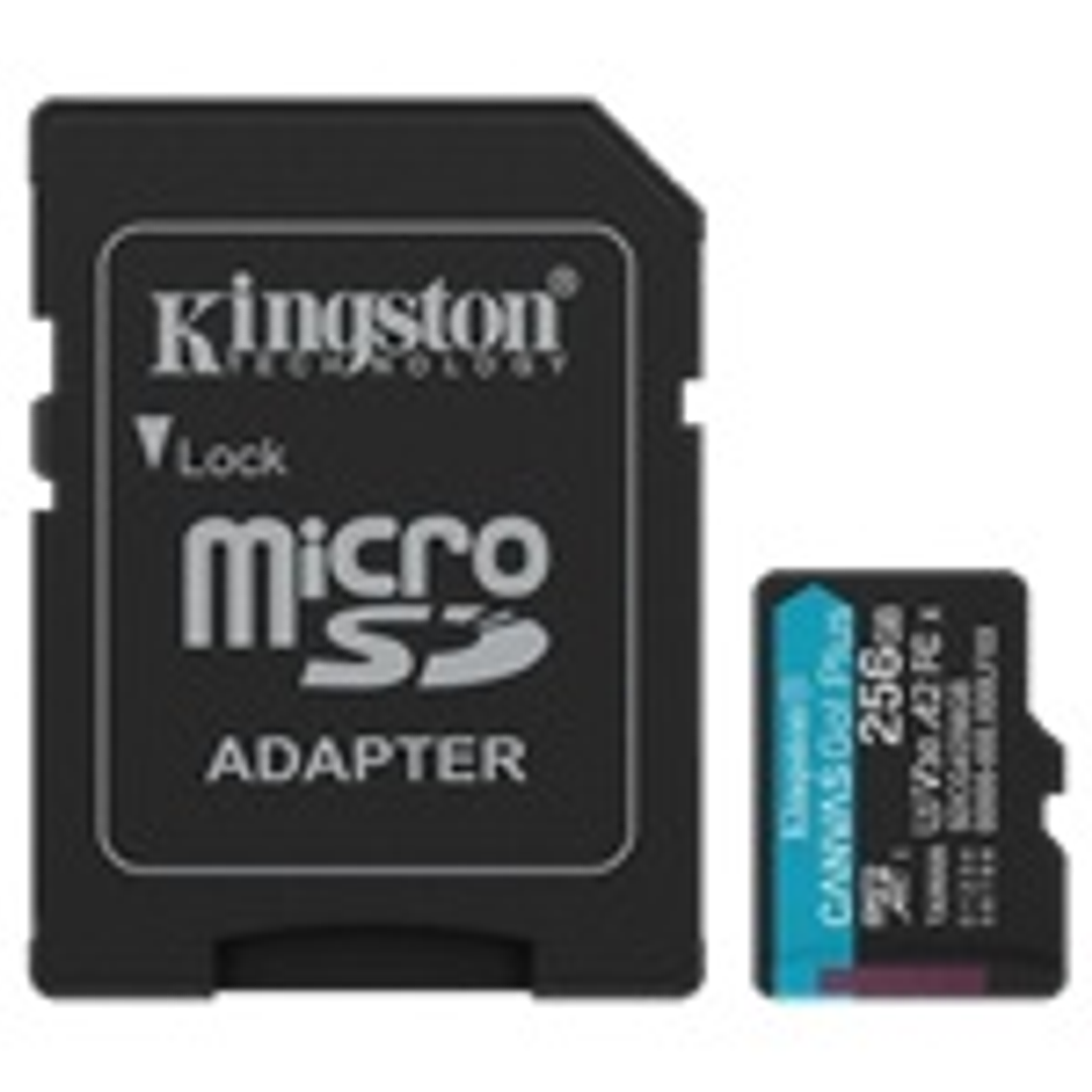 Kingston Flash Memory Cards - KNG 256GB microSD Canvas Go Pl 1