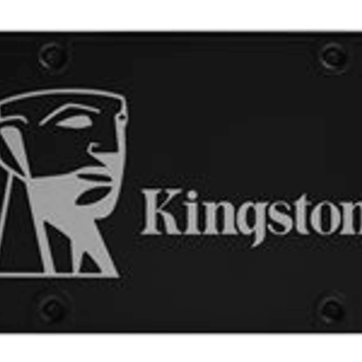 Kingston Internal Solid State Drives - KNG SSD 256GB 550/500 1