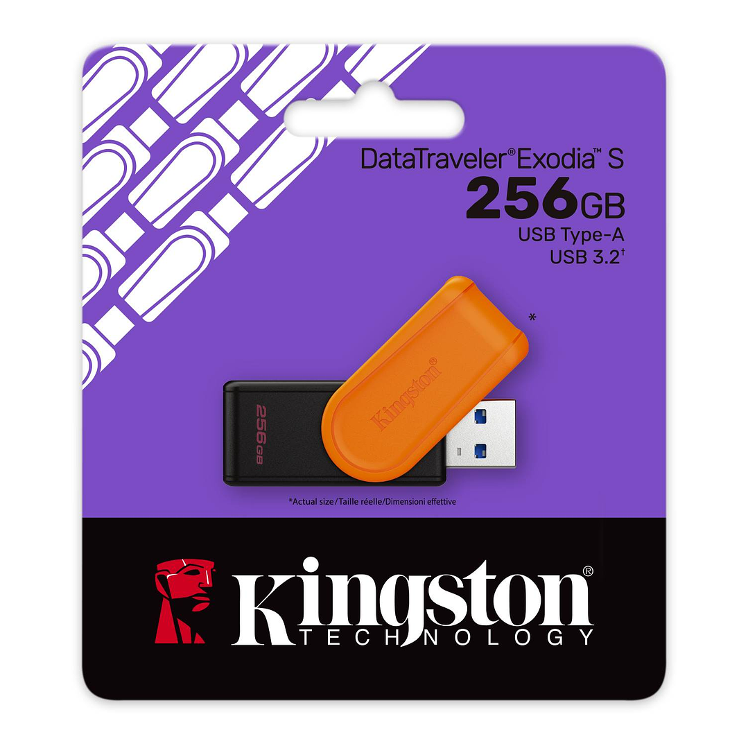 Pendrive USB Flash Drives Kingston 256GB USB 3.2 Gen 1 DataTraveler 1