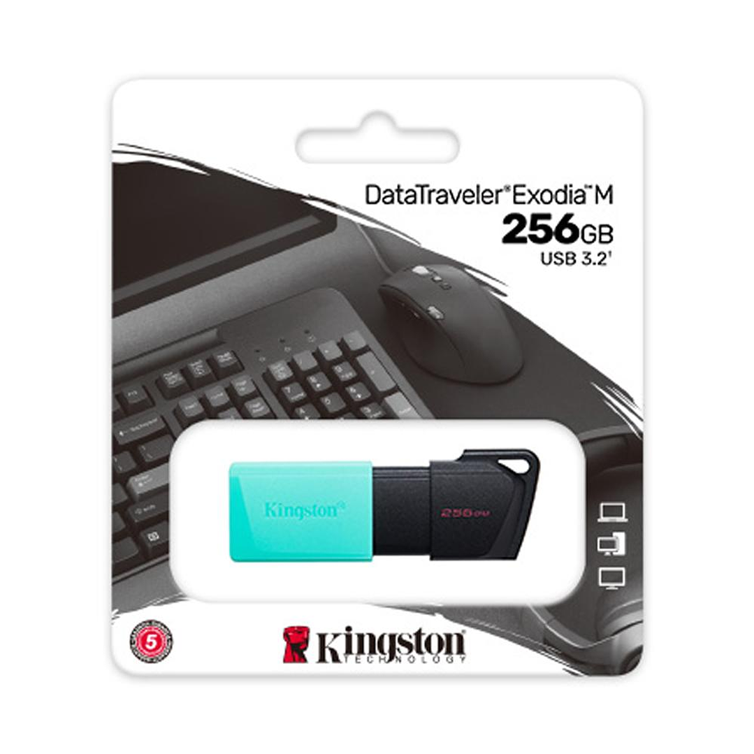 Unidad Flash USB Kingston 256GB USB 3.2 Gen1 DataTraveler Exodia 1