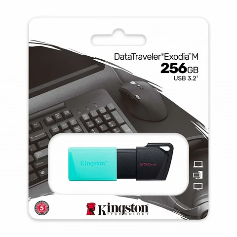Unidad flash USB Kingston 256GB USB 3.2 Gen1 DataTraveler