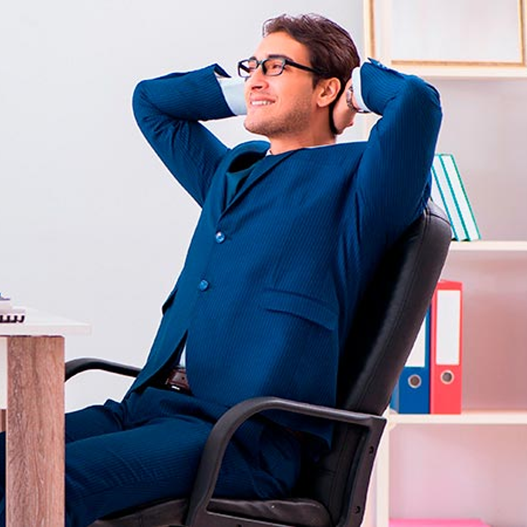 Silla ejecutiva con reposabrazos (AM160GEN27) 2