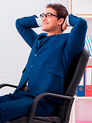 Silla ejecutiva con reposabrazos (AM160GEN27)