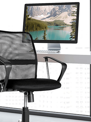 Silla ejecutiva Xtech Verona negra capacidad