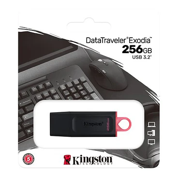 Unidad flash USB Kingston 256GB USB 3.2 Gen 1 Datatraveler DTX/256GB 1