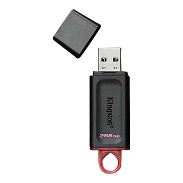 Unidad flash USB Kingston 256GB USB 3.2 Gen 1 Datatraveler DTX/256GB 2