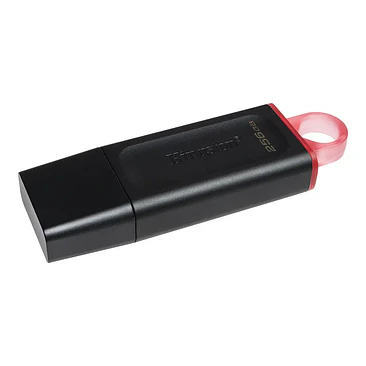 Unidad flash USB Kingston 256GB USB 3.2 Gen 1 Datatraveler DTX/256GB 4