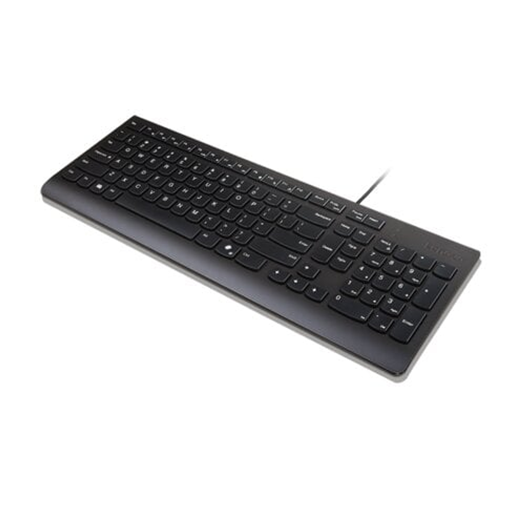 Teclado Lenovo Essential USB cableado 1.8m negro 1